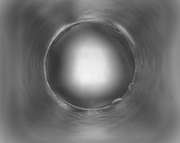 X0000053151291200507251832