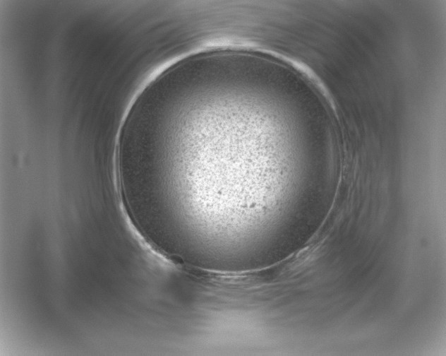 X0000053151295200507251832
