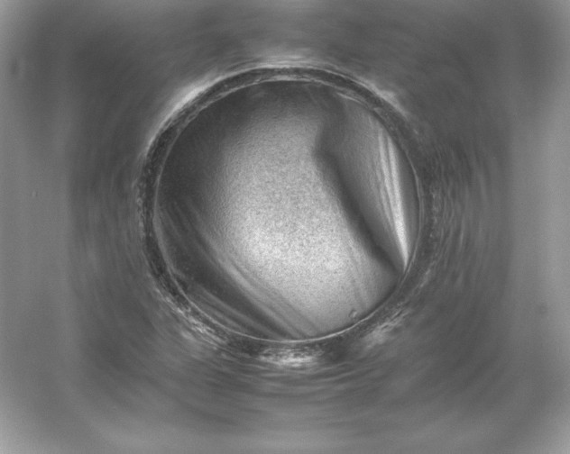 X0000053151311200507251831