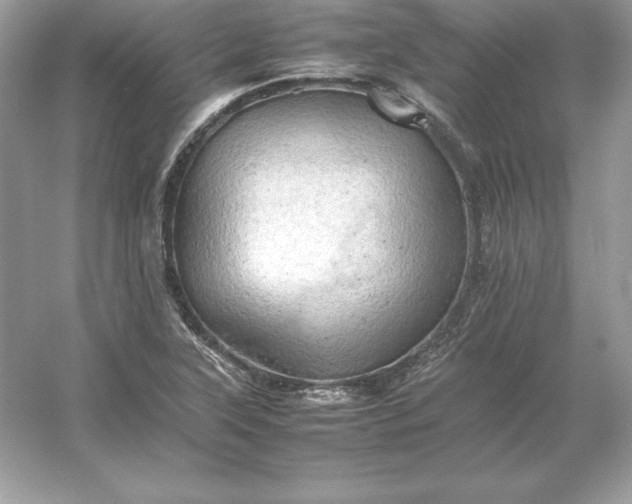 X0000053151315200507251831
