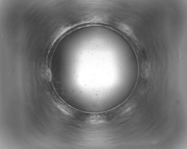 X0000053151316200507251831