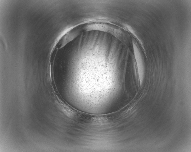X0000053151320200507251831