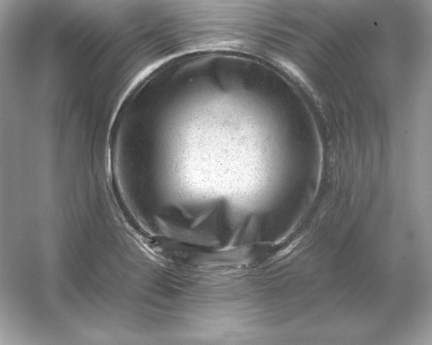 X0000053151324200507251831