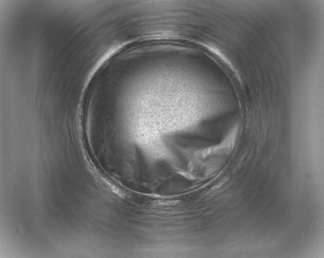 X0000053151325200507251831