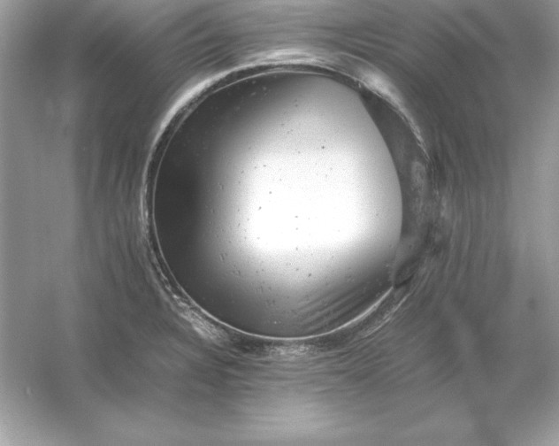 X0000053151328200507251831