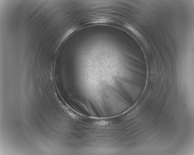 X0000053151329200507251831