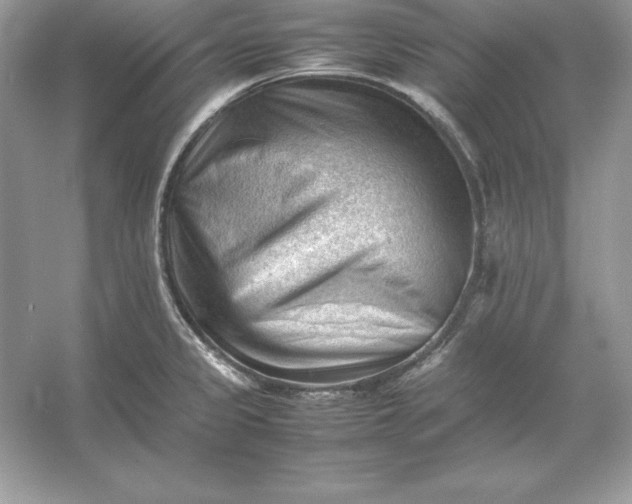 X0000053151333200507251831