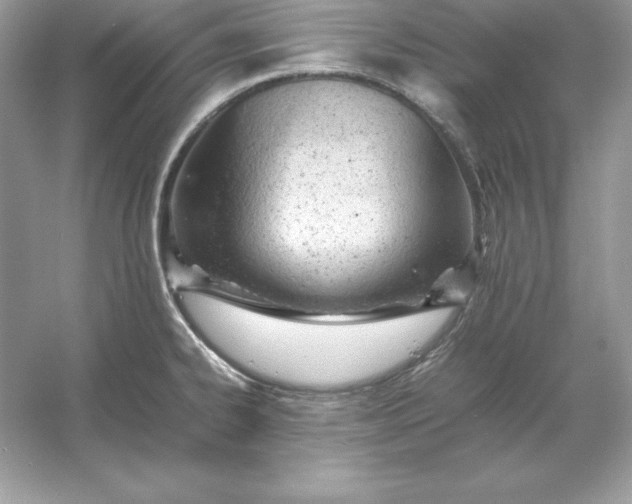 X0000053151334200507251831
