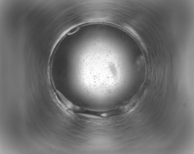 X0000053151340200507251832