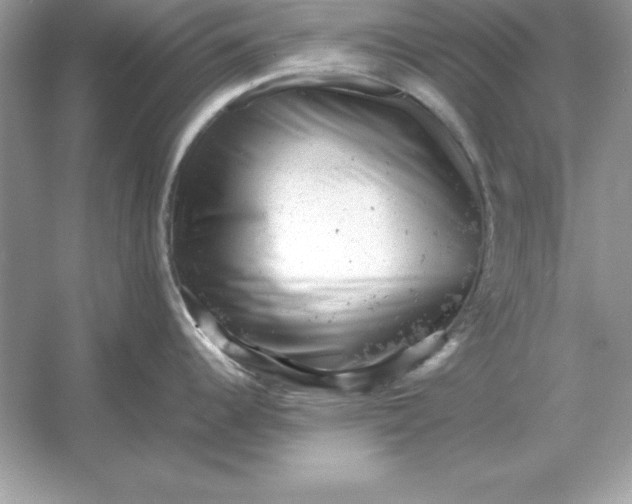 X0000053151344200507251832