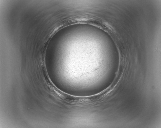 X0000053151353200507251831