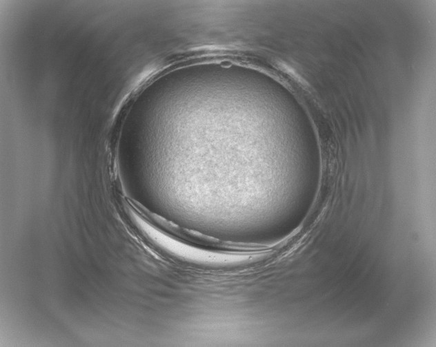 X0000053151357200507251831