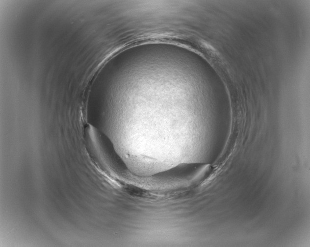 X0000053151361200507251831
