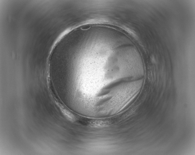X0000053151366200507251830