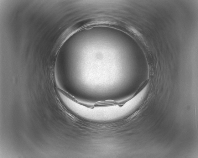 X0000053151369200507251830