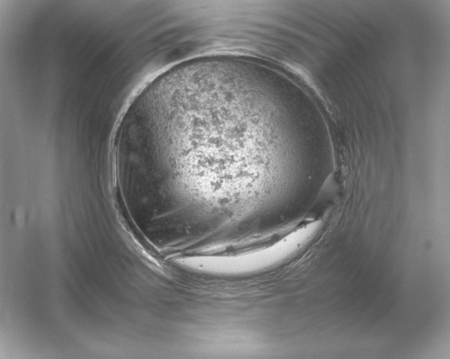 X0000053151371200507251830