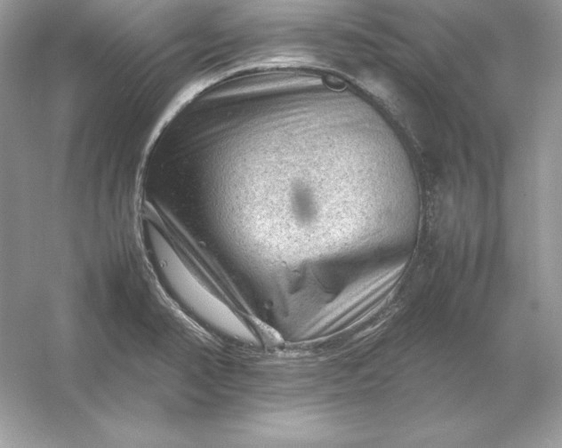 X0000053151374200507251830