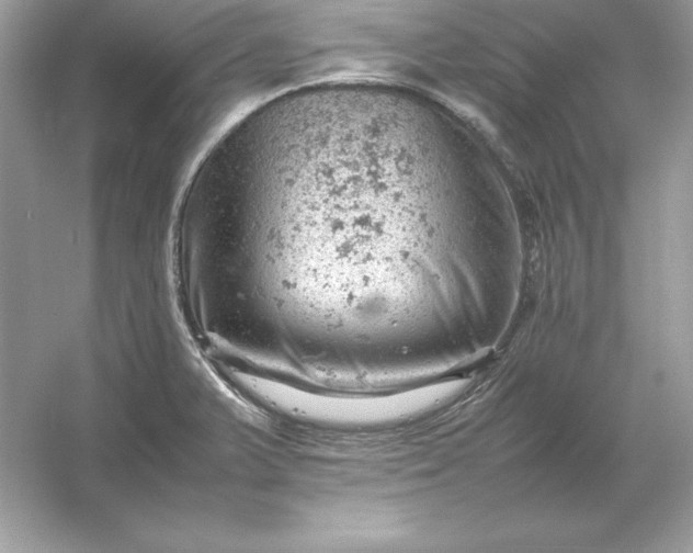 X0000053151375200507251830