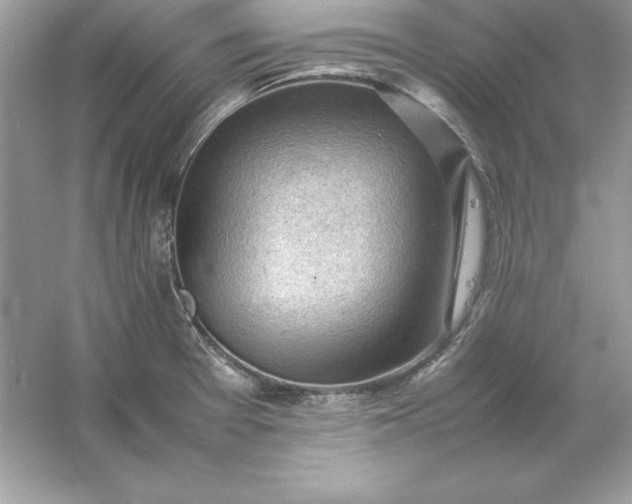 X0000053151377200507251830
