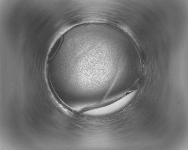 X0000053151379200507251830