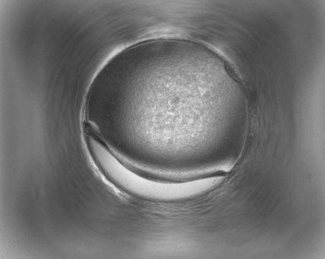 X0000053151383200507251830