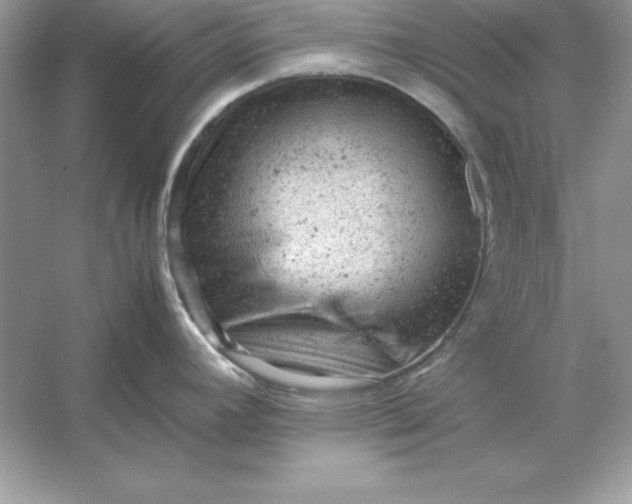 X0000053151392200507251830