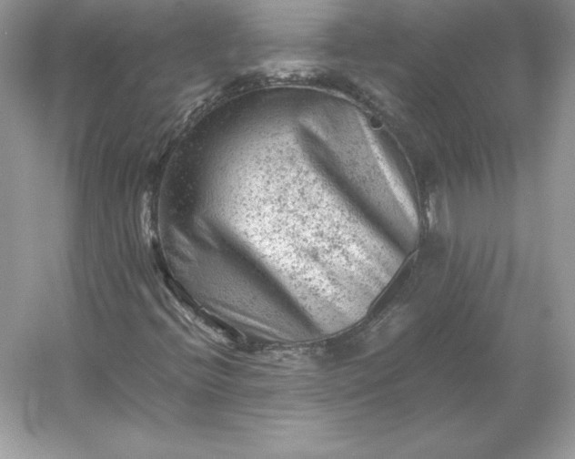 X0000053151396200507251829