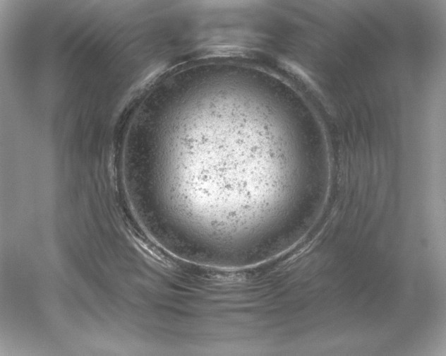 X0000053151403200507251829
