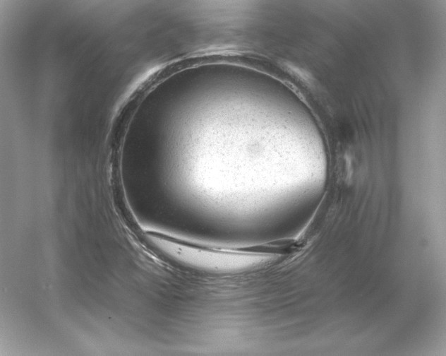 X0000053151406200507251829