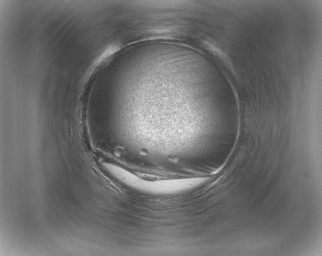 X0000053151411200507251830