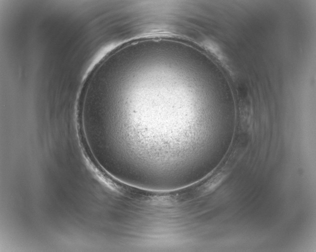X0000053151422200507251830