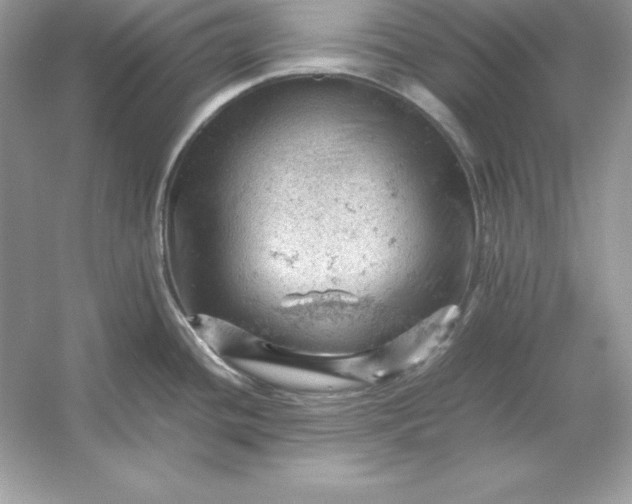 X0000053151436200507251830