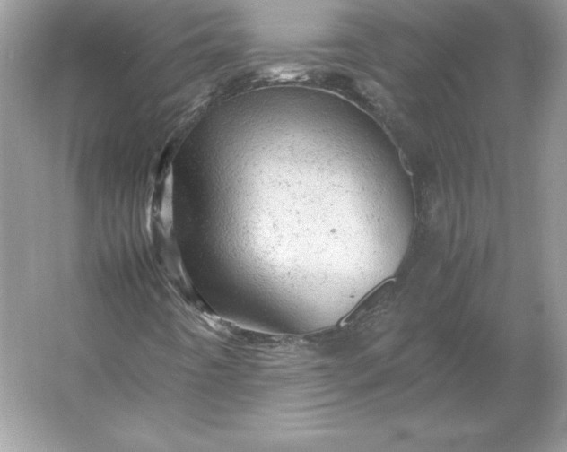 X0000053151442200507251829