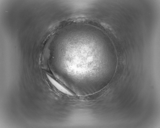 X0000053151445200507251829