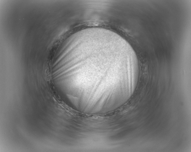 X0000053151446200507251829