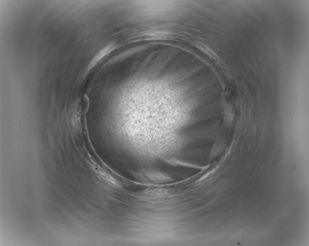 X0000053151450200507251829