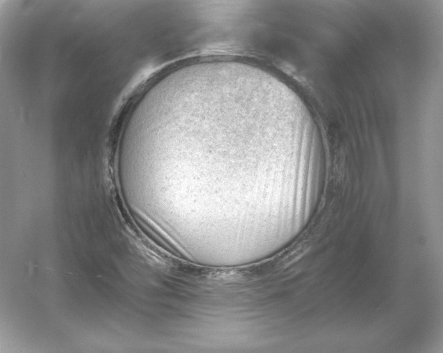 X0000053151454200507251829
