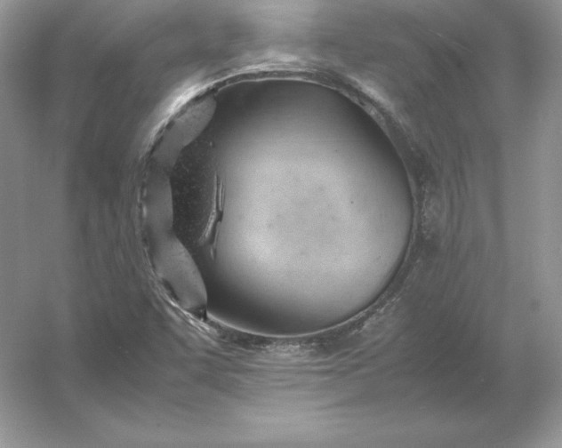 X0000053151455200507251829