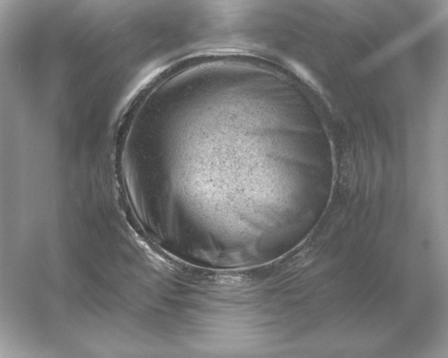 X0000053151456200507251829