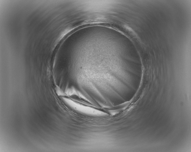 X0000053151457200507251829