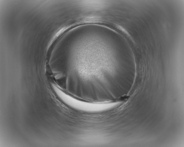 X0000053151461200507251829