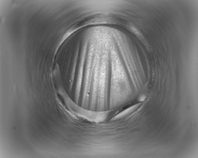 X0000053151465200507251829