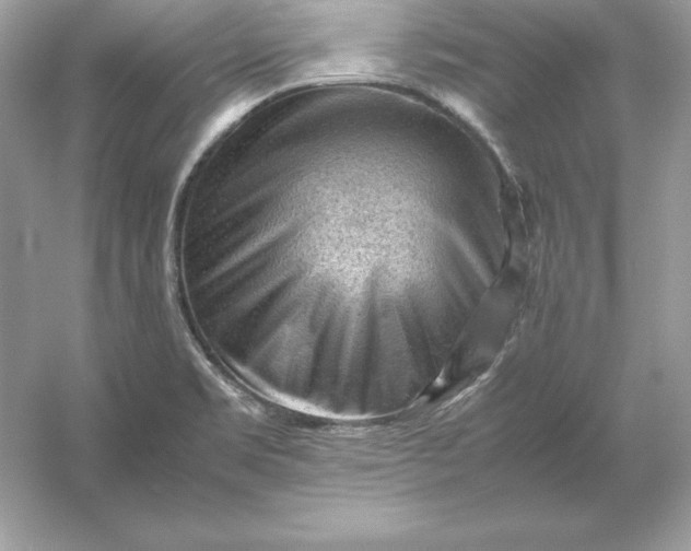 X0000053151469200507251829