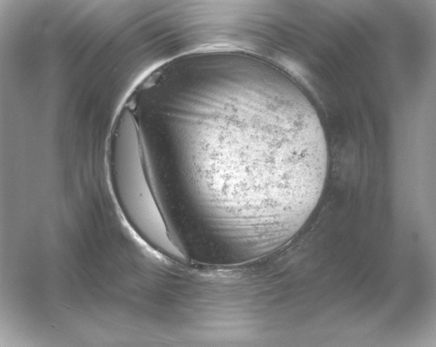 X0000053151476200507251829