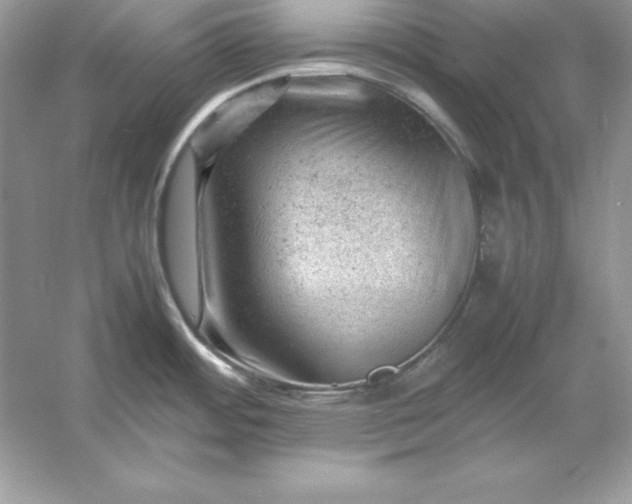 X0000053151484200507251828