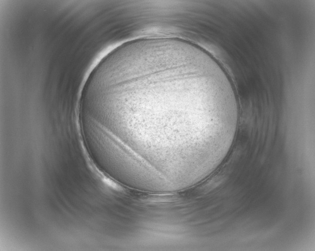 X0000053151486200507251828