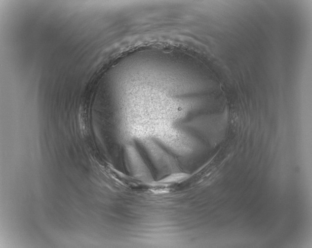X0000053151490200507251828