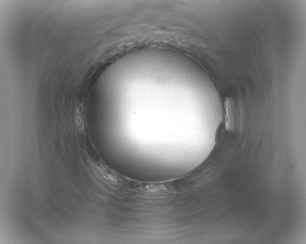 X0000053151491200507251828