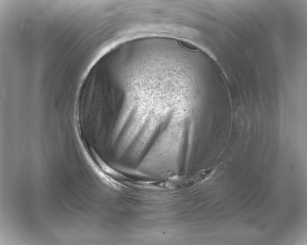 X0000053151523200507251828