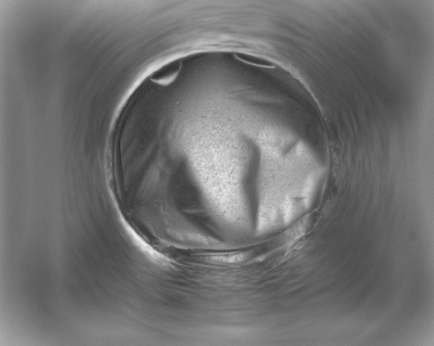 X0000053151531200507251828